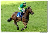 8. dostihy - 30. Slovensk Oaks 