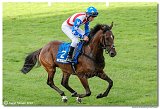 8. dostihy - 30. Slovensk Oaks 