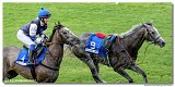 8. dostihy - 30. Slovensk Oaks 