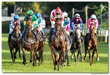 8. dostihy - 30. Slovensk Oaks 