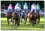 8. dostihy - 30. Slovensk Oaks 