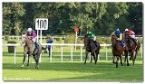 8. dostihy - 30. Slovensk Oaks 