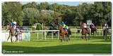8. dostihy - 30. Slovensk Oaks 