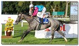 8. dostihy - 30. Slovensk Oaks 