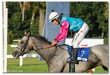 8. dostihy - 30. Slovensk Oaks 