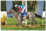 8. dostihy - 30. Slovensk Oaks 