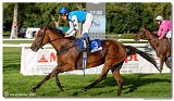 8. dostihy - 30. Slovensk Oaks 