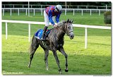 8. dostihy - 30. Slovensk Oaks 