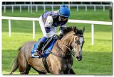8. dostihy - 30. Slovensk Oaks 