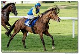 8. dostihy - 30. Slovensk Oaks 