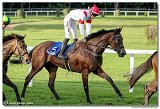 8. dostihy - 30. Slovensk Oaks 