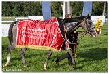 8. dostihy - 30. Slovensk Oaks 