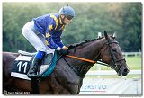 9. dostihy - Cena Petite Sirene 