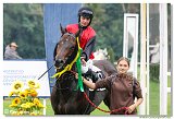 1. dostihy - Hendikep Robinsona Cruso 