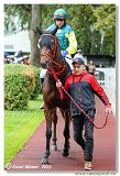3. dostihy - 40. Prtenky ampinov 