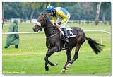 3. dostihy - 40. Prtenky ampinov 