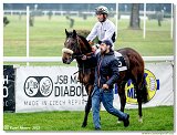 4. dostihy - Vek cena BBAG Baden-Baden 