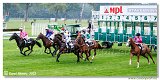 4. dostihy - Vek cena BBAG Baden-Baden 