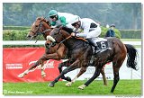 4. dostihy - Vek cena BBAG Baden-Baden 