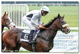 4. dostihy - Vek cena BBAG Baden-Baden 