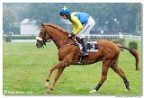 5. dostihy - 47. Vek starohjska steeplechase 