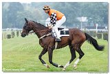 5. dostihy - 47. Vek starohjska steeplechase 