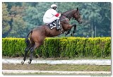 5. dostihy - 47. Vek starohjska steeplechase 