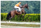 5. dostihy - 47. Vek starohjska steeplechase 