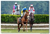 5. dostihy - 47. Vek starohjska steeplechase 