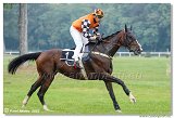 5. dostihy - 47. Vek starohjska steeplechase 