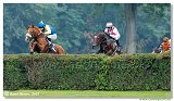 5. dostihy - 47. Vek starohjska steeplechase 