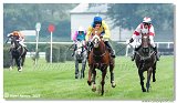 5. dostihy - 47. Vek starohjska steeplechase 