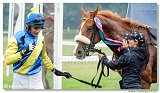 5. dostihy - 47. Vek starohjska steeplechase 