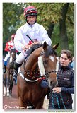 6. dostihy - 29. Slovensk St. Leger  