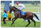 6. dostihy - 29. Slovensk St. Leger  