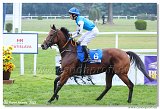 6. dostihy - 29. Slovensk St. Leger  