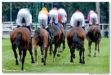6. dostihy - 29. Slovensk St. Leger  