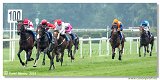 6. dostihy - 29. Slovensk St. Leger  