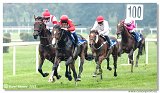 6. dostihy - 29. Slovensk St. Leger  