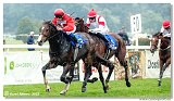 6. dostihy - 29. Slovensk St. Leger  