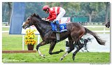 6. dostihy - 29. Slovensk St. Leger  
