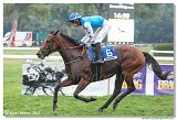 6. dostihy - 29. Slovensk St. Leger  