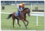 6. dostihy - 29. Slovensk St. Leger  