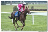 6. dostihy - 29. Slovensk St. Leger  