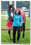 6. dostihy - 29. Slovensk St. Leger  