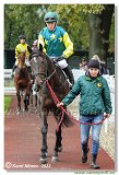 7. dostihy - Cena Atacka 