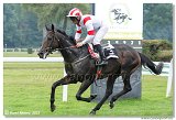 7. dostihy - Cena Atacka 