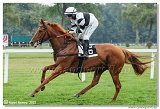 7. dostihy - Cena Atacka 