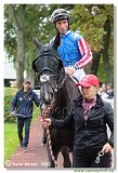 6. dostihy - Memoril RNDr. Juraja Gressnera 