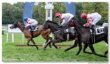 6. dostihy - Memoril RNDr. Juraja Gressnera 